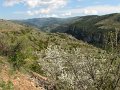 (130) 2009 Gorges de la Jonte